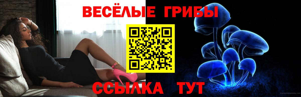 Галлюциногенные грибы MAGIC MUSHROOMS Красноярск